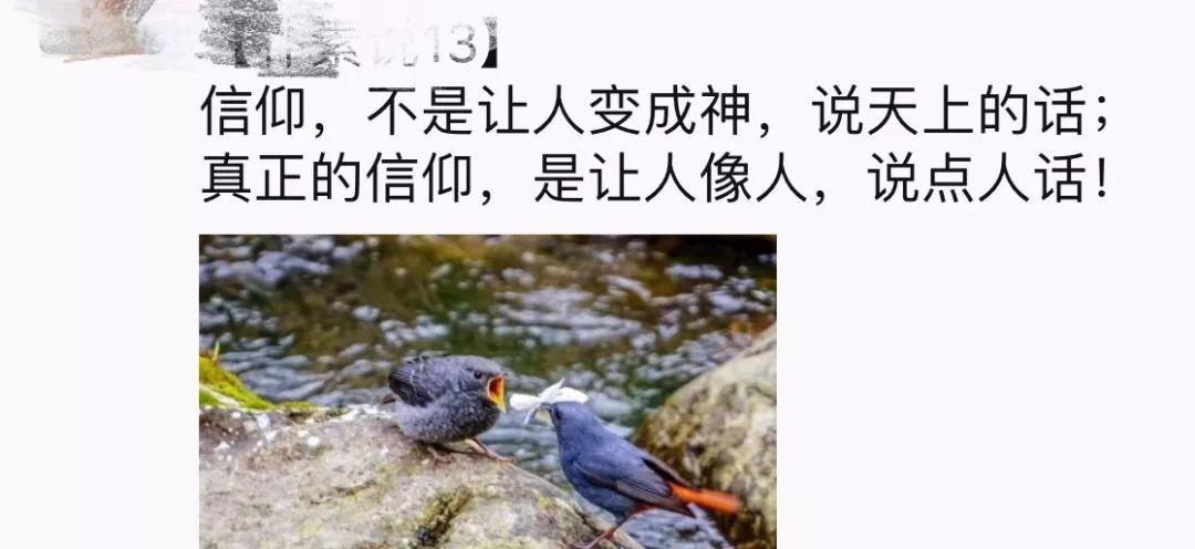 警惕，别中了心灵鸡汤的毒！  第3张