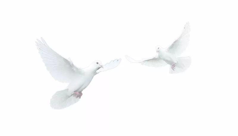 有信仰的人生不一样！[修订版]  第15张