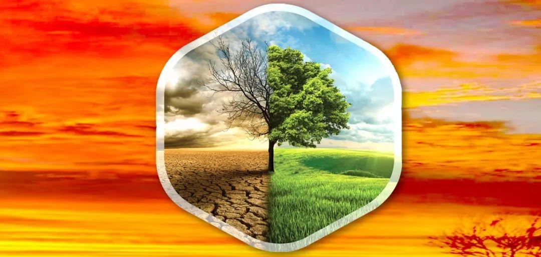 安息日会，她会成为巴比伦吗？