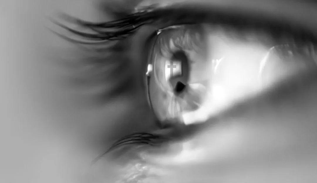 他那无言的爱，你究竟懂几分？