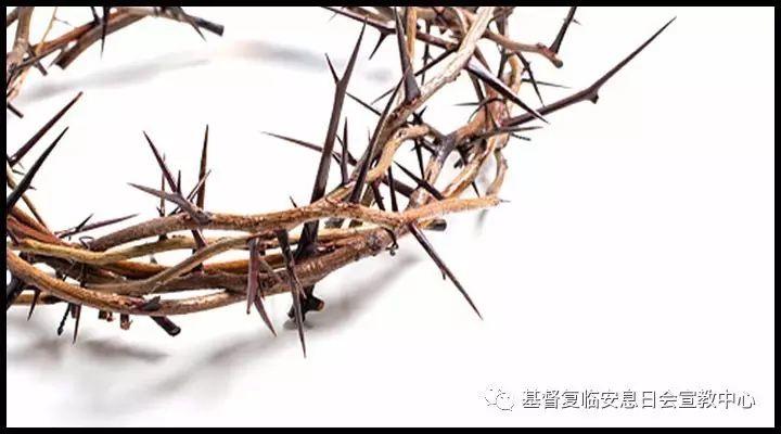 六千年等待,只为此刻看你一眼! 第2张 六千年等待,只为此刻看你一眼! 第2张