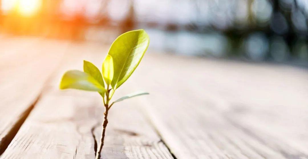 上帝啊,祢的爱在哪里? 第1张 上帝啊,祢的爱在哪里? 第1张