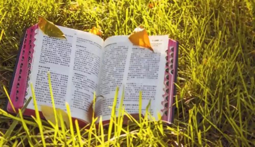 中国教会是到了该省思的时候了! 第10张 中国教会是到了该省思的时候了! 第10张