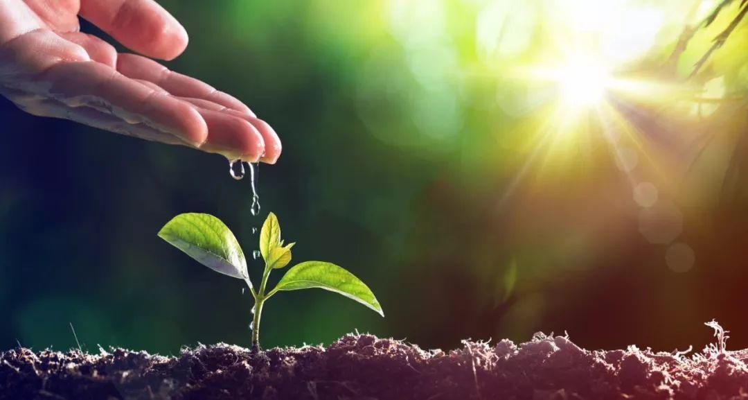 上帝啊,祢的爱在哪里? 第2张 上帝啊,祢的爱在哪里? 第2张