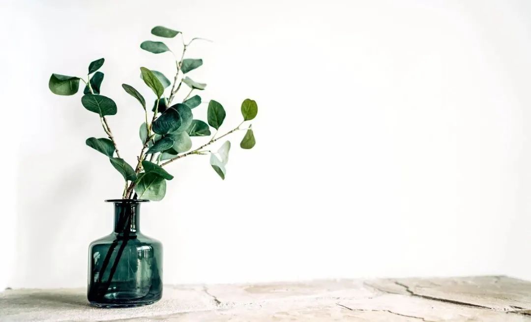 忧虑的“解药”……