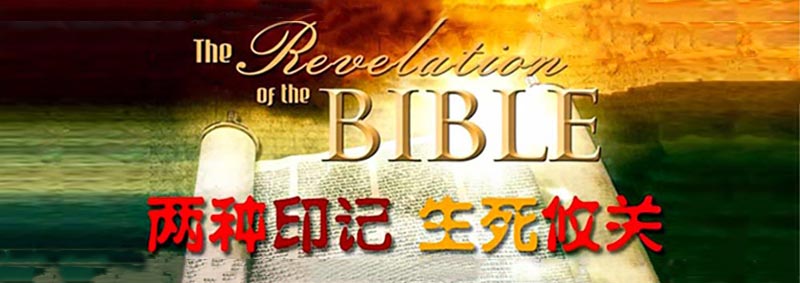 两种印记,生死攸关!